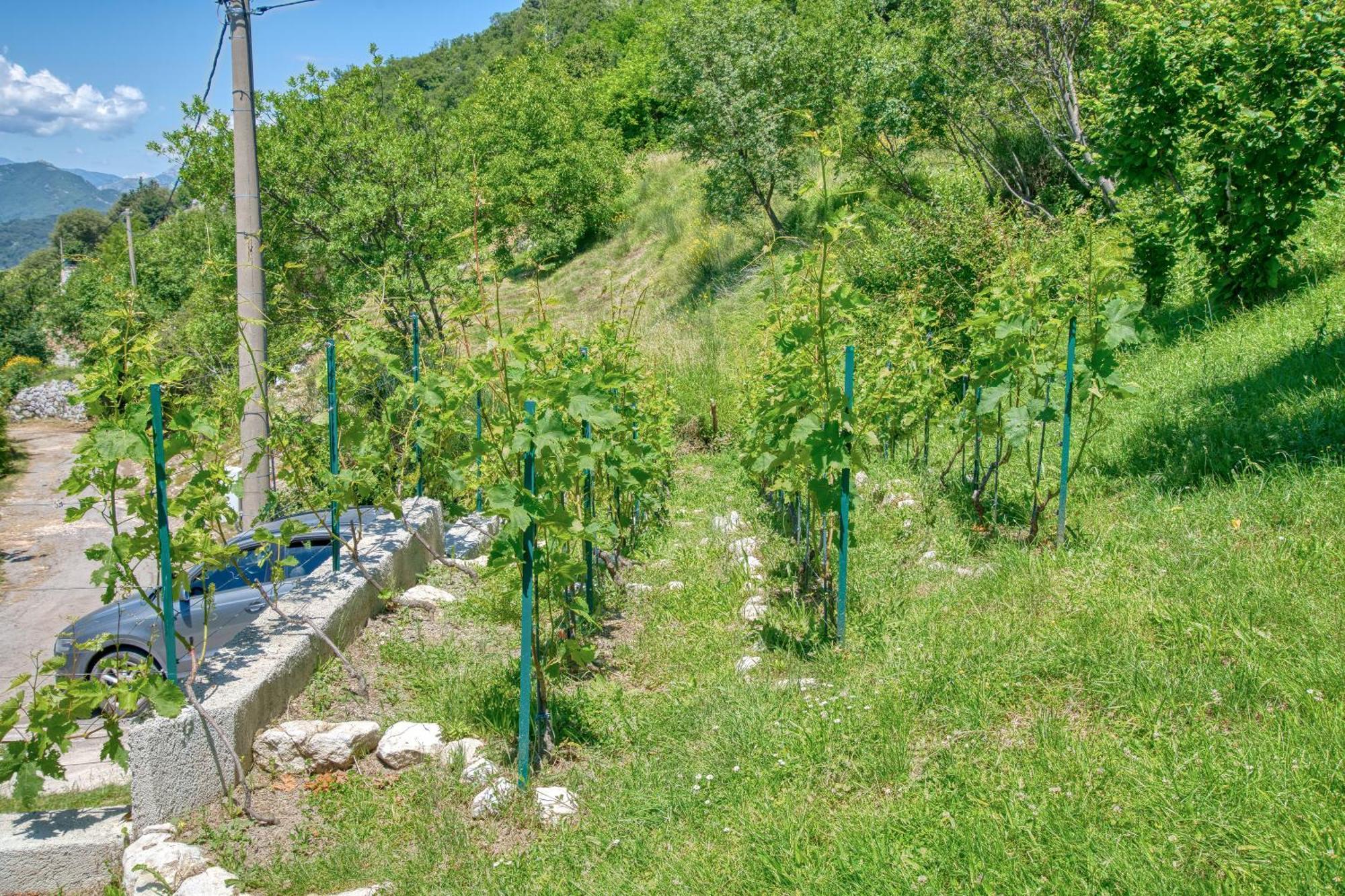 Apartment Paradise Κότορ Εξωτερικό φωτογραφία